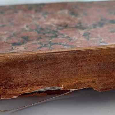 Detail of damaged spine