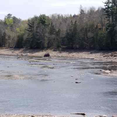 Rock Peter in the Dennys River: Rock Peter stands sentinel-like on the Edmund side of the Dennys River in eastern Maine, with the remains of T.W. Allan's wharf visible on the right.  As part  of the bedrock, Rock Peter served as the origan or starting point for all of the early surveys of the local area.