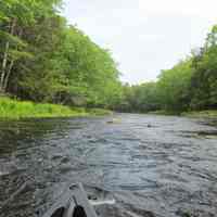          Stoddard's Rips on the Dennys River
   