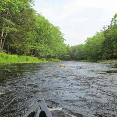 Stoddard's Rips on the Dennys River