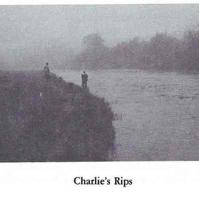 Charlie's Rips on the Dennys River