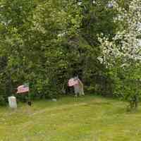          Civil War Graves, South Edmunds Road, just inside the Cobscook Bay State Park, Edmunds, Maine
   