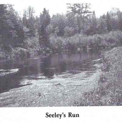 Seeley's Run on the Dennys River