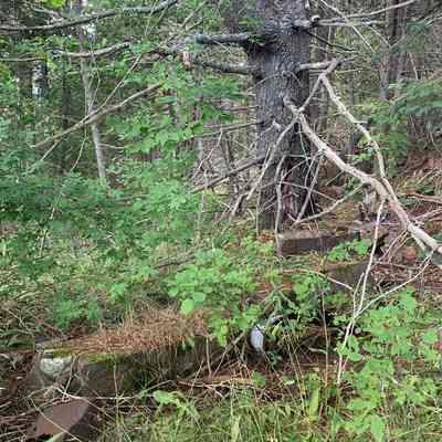 Site of the Lyons Hills School on the Bunker (Lyons) Hill Road in Edmunds, Maine: The remains of a cement foundation, an old pail and rusted steel container are all that remain of the Lyons Hill School which burned down on March 24, 1950.
