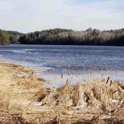 Dennys River Narrows: The Lower Narrows on the Dennys River seen from U.S. Route 1.