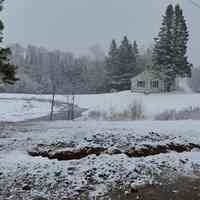          Park pond, winter view.
   