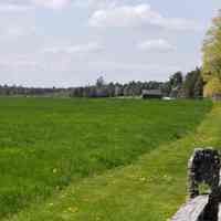          Lincoln Farm fields in Dennysville, Maine; Fields, fencing and cattle can be seen in this springtime view of the fields at the Lincoln Farm off U.S. Route 1 in Dennysville, Maine.
   