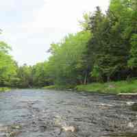          Lower Stoddard's rips on the Dennys River
   