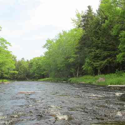 Lower Stoddard's rips on the Dennys River