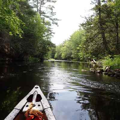Dennys River above Gilman Dam: View of the Dennys River from the bow of a canoe approaching the site of Gilman Dam.