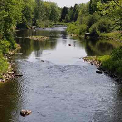 Dennys River Above the Upper Bridge: Looking upstream on the Dennys River, as the water ripples through the gap where the old stone dam once contained the millpond and operated the Lincoln's mills.