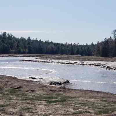 Wilson's Stream, site of Lyons Brothers Steam Mill, c. 1900: The Lyon's Brothers Steam mill was located on a point of land on Wilson's Stream called the "Head of-the-Tide", the dividing line between Dennysville and Pembroke.  A tide mill operated by Robert Wilson in the early 1780's gave his name to the estuary which was later known as Hardscrabble River.