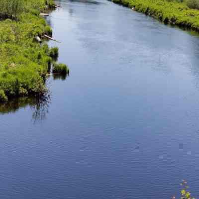 Charlie's Rips on the Dennys River: A favorite spot for fishermen are the rips seen upstream, named for Charlie Sylvia who often walked across the fields from the home on Harrison Road to fish here.  Logs seen in the river banks testify to the lumber drives that sustained the economy of the area for nearly one hundred and fifty years.