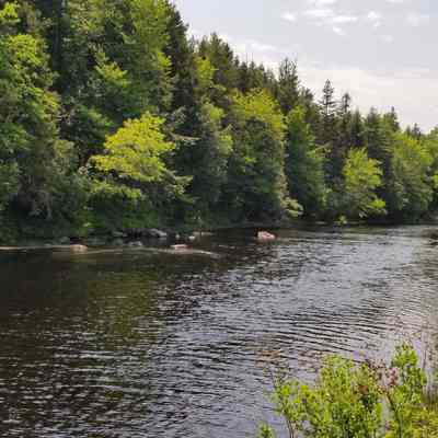 Looking towards the Upper Narrows on the Dennys River