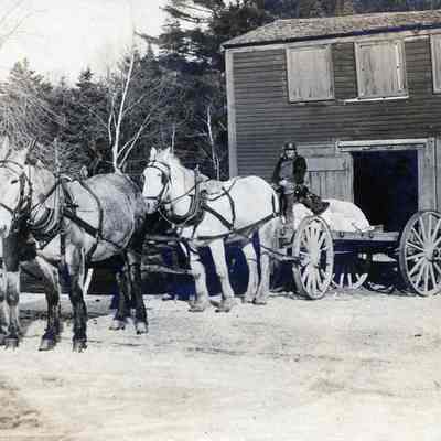 Horse team at Gardner's Stores in Dennysville, Maine: A teamster hauls a load of grain from one of the storage buildings at A.L.R. Gardner's store in Dennysville around 1900.