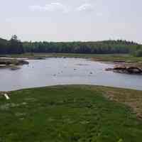 The Marsh on Hobart Stream, Edmunds, Maine