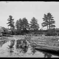          Lincoln Mill Pond on the Dennys River, c. 1885; Boomed logs float in the Lincoln's mill pond on the Dennys River, looking across to Edmunds from Dennysville.  Photograph by John P. Sheahan in the 1880's.  The millworker's boarding house is visible through the famous grouping of State Seal pines are on the far shore.
   