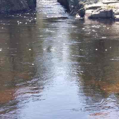 The Flume, Edmunds, Maine
