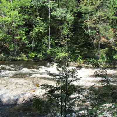 Audubon Dam Site, Flat Rock Falls on the Dennys River: A temporary lumberman's dam was erected across the Dennys River at this place to release a surge of water sufficient to clear logs piled up in the rocky gorge below, described by naturalist J.J. Audubon in 1832.