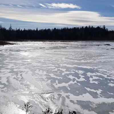 Meadow Brook, Dennysville, Maine