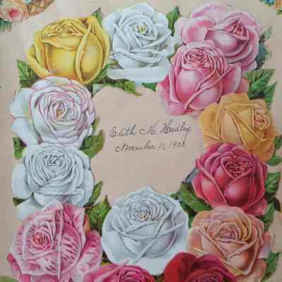 Scrapbook of Edith M. Hadley