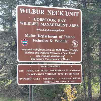 Wilbur's Neck Wildlife Managment Area, Pembroke, Maine