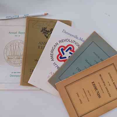 Annual Town Reports, Dennysville and Edmunds, Maine