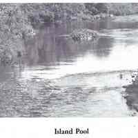 Island Pool on the Dennys River