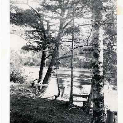 John Sheahan's Deacon's Seat on the Dennys River: A simple bench with a contemplative view of the Dennys River was located in front of Dr. John P. Sheahan's house on the River Road in Edmunds, Maine.
