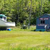 Live Lobster in Edmunds, Maine