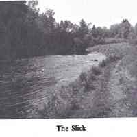          The Slick on the lower Dennys River; Reproduced from 