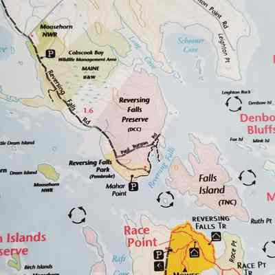 Conservation Lands at the Reversing Falls, Cobscook Bay, Maine: The Wilbur's Neck Wildlife management area is shown on the peninsula of Leighton's Neck, on this map prepared for Cobscook Shores in 2022