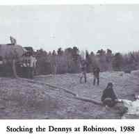 Stocking Salmon on the Dennys River, 1988