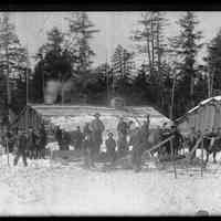 Logging Camp in the Woods near Dennys River, Maine