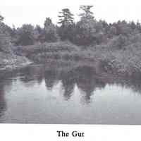          The Gut on the Dennys River; Reproduced from 