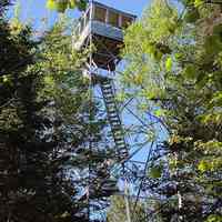          Little's Mountain Fire Tower, Cobscook Bay State Park
   