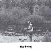Stump Pool on the Dennys River