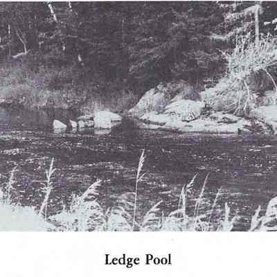 Ledge Pool on the Dennys River