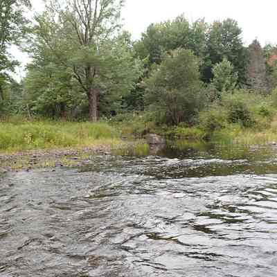 Mouth of the Cathance Stream, September 2022: A band of Passamaquoddy were fishing for salmon here when settlers from Hingham, Massachusetts arrived in May of 1786.  Their leader introduced himself as John Deny.