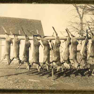 Another photo of Deer Hunting Camp on the Dennys River, Dennysville, Maine