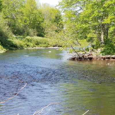 Rock Pile Pool on the Dennys River