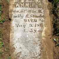          Annie Stanhope Gravestone; The inscription reads ANNIE  dau. of Wm. H. and Emily B. Stanhope, Died May 9 1863, AE. 5 ys.
   