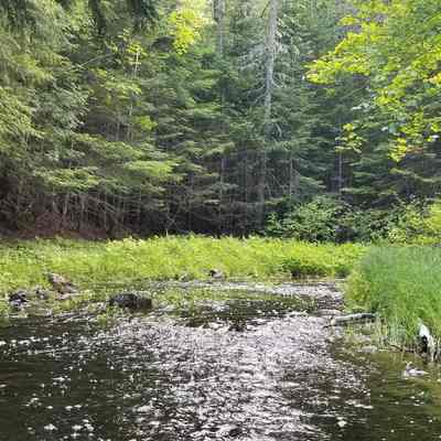 Mouth of Venture Brook on the Dennys River