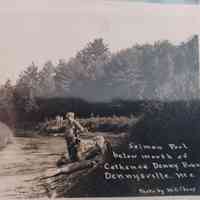          Salmon Hole at the Source of the Dennys River; Cathance Stream flows Into the Dennys River from Cathance Lake about 17 miles NW of Dennysville.
   