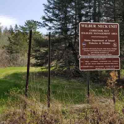Wilbur Neck Wildlife Management Area: Signage on Road to Reversing Falls, Leighton's neck, Pembroke, Maine