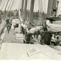 Deck View of the David Cohen at Pushee Brother