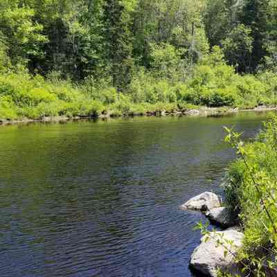 The Dennys River near Seeley's Run