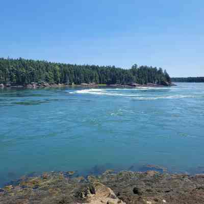 The Reversing Falls seen from Mahar's Point: Water surges through the channel between Mahar's Point and Falls Island in this image of the Reversing Falls, called in Passamaquoddy Kapskuk, meaning "Boiling water", and today is known as Cobscook Bay.  For many years Edmund Mahar rescued numerous people from trouble in these turbulent waters.
