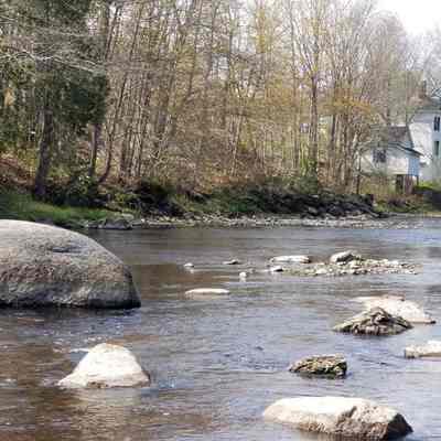 Audubon's Rock, Dennys River, Maine