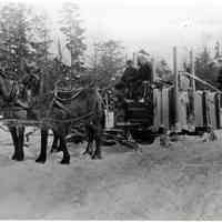 Woods Roads Water Cart for Icing